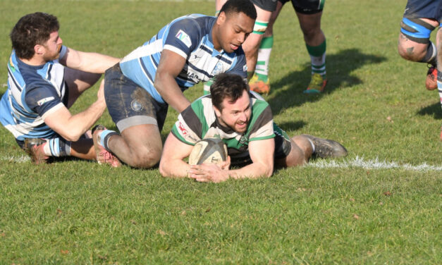 Newbury 11 Tottonians 46 – report